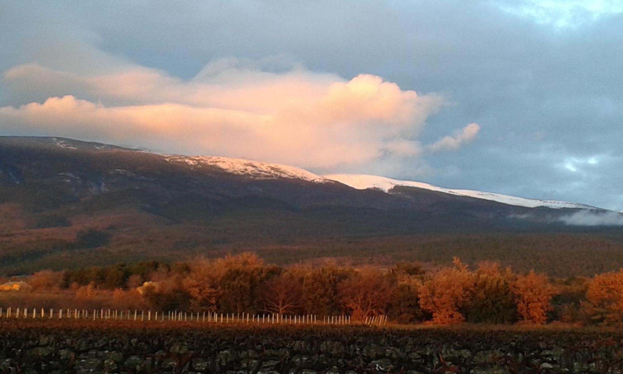 La Carriera, Petite Maison Sud Ventoux, Au Charme Provencal Bédoin Eksteriør billede