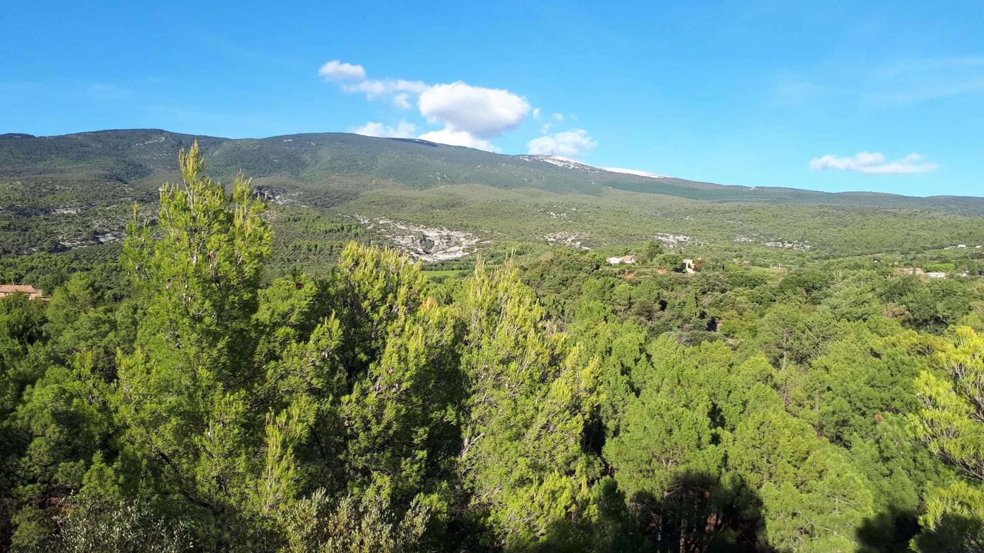 La Carriera, Petite Maison Sud Ventoux, Au Charme Provencal Bédoin Eksteriør billede